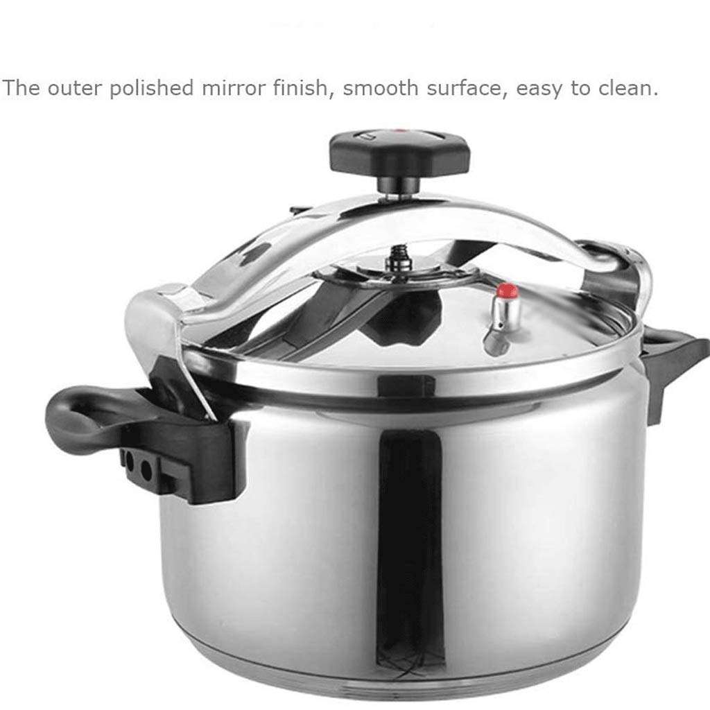 Stainless Steel 3L Electric Pressure Cooker M29679