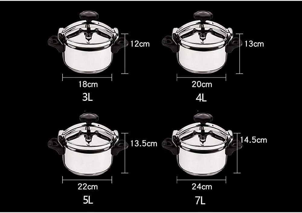 3L Multifunctional 304 Stainless Steel Pressure Cooker H9149