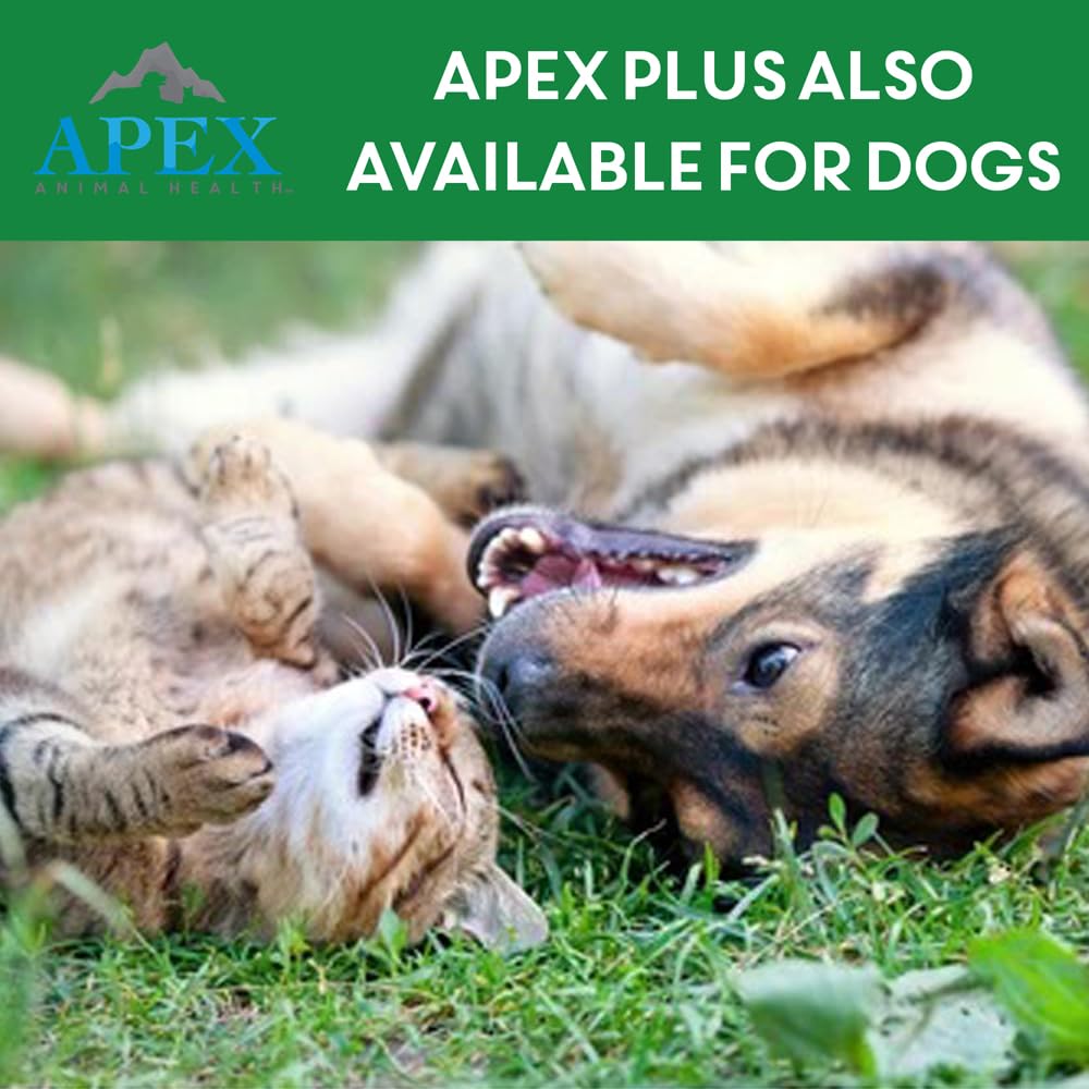 Flea & Tick Prevention Drops for Cats A849225