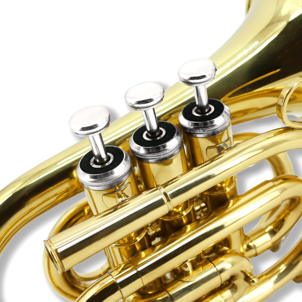 Pocket Trumpet Mini Brass Instrument with 7C Mouthpiece & Case R4174