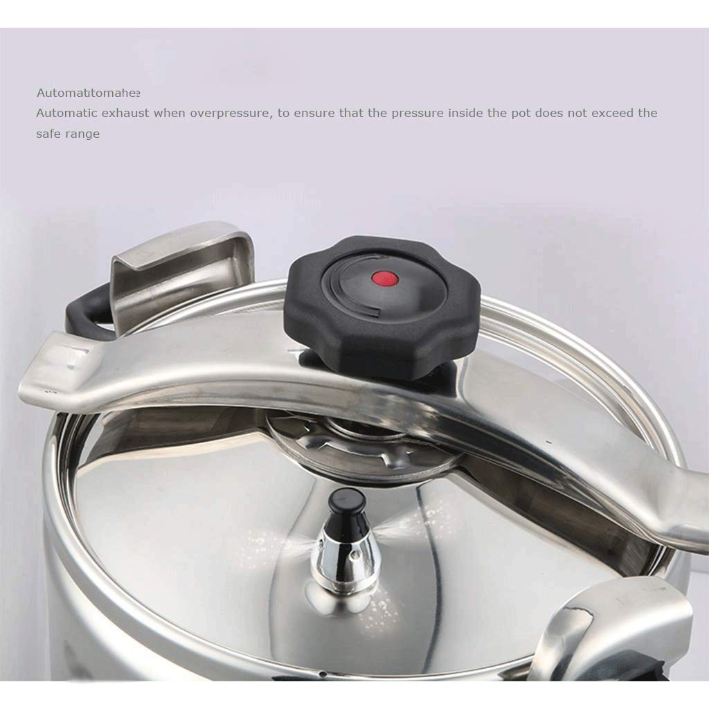 Stainless Steel 3L Electric Pressure Cooker M29679