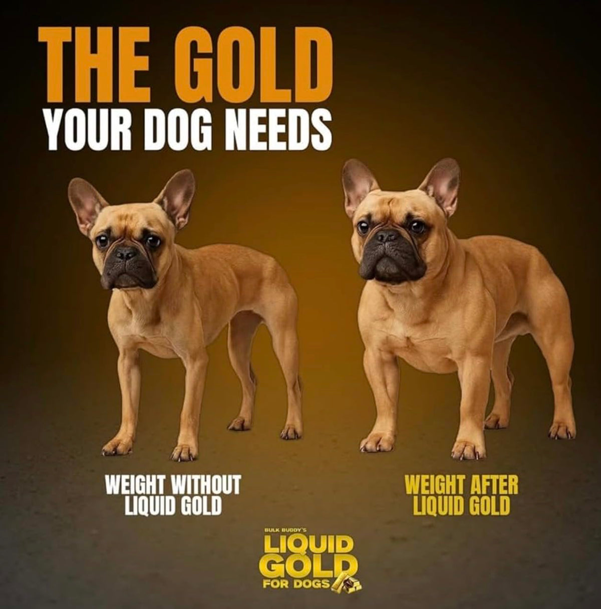 Weight Gainer for Dogs Y3232