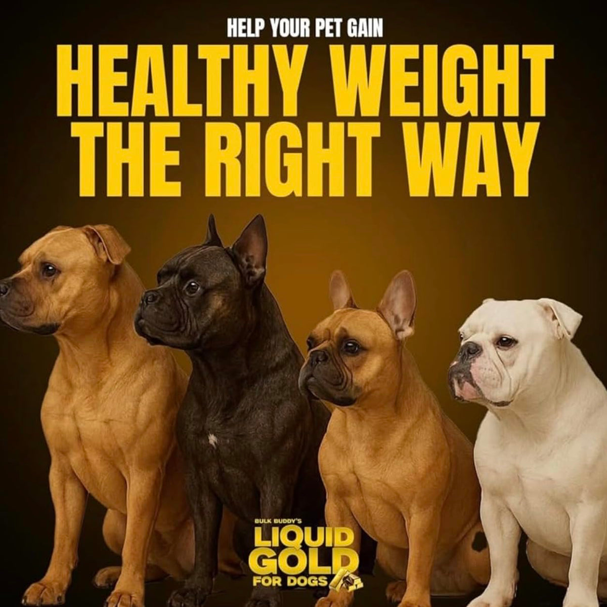 Weight Gainer for Dogs Y3232