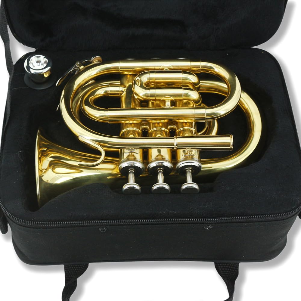 Pocket Trumpet Mini Brass Instrument with 7C Mouthpiece & Case R4174