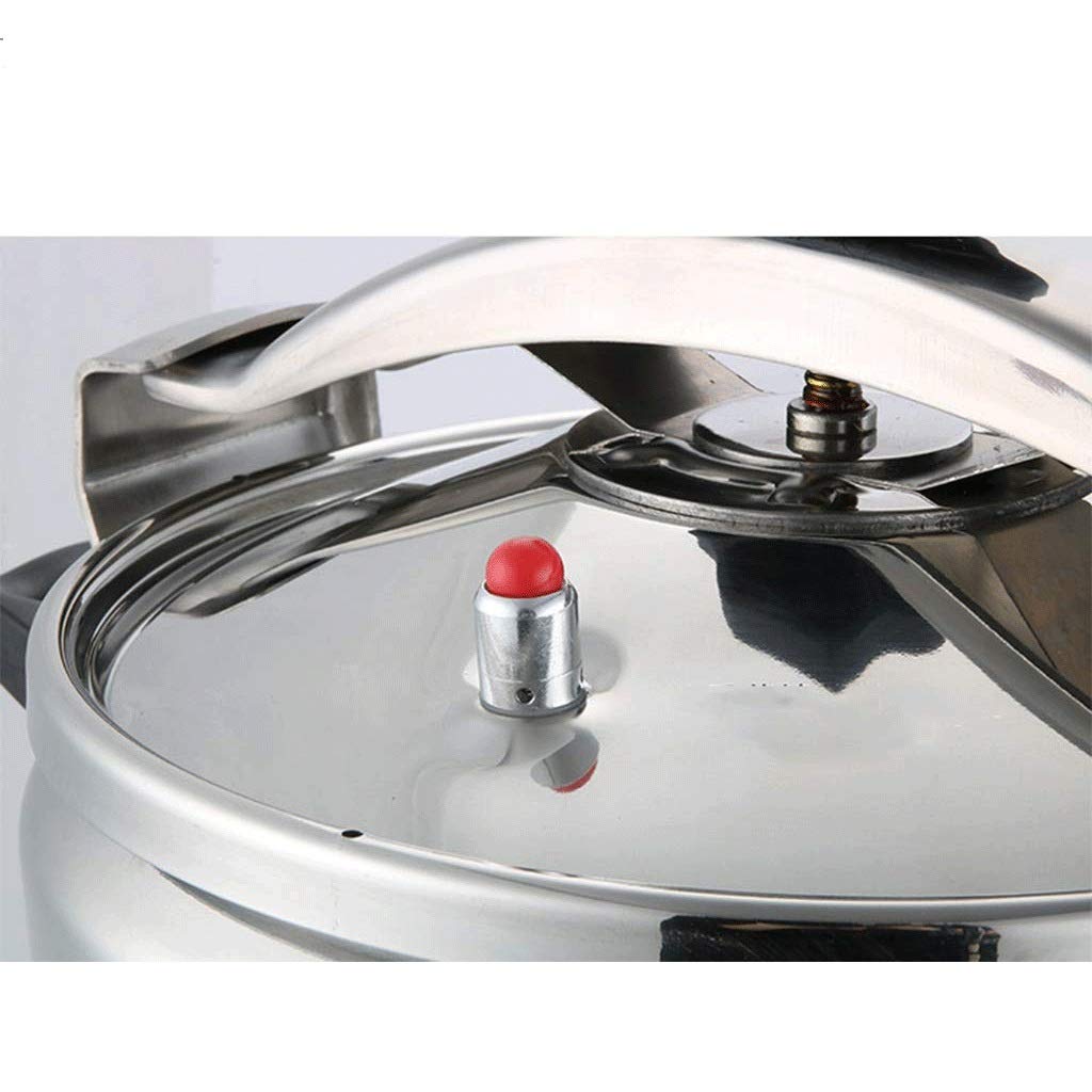 Stainless Steel 3L Electric Pressure Cooker M29679