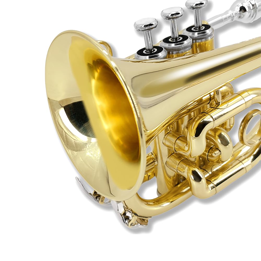 Pocket Trumpet Mini Brass Instrument with 7C Mouthpiece & Case R4174