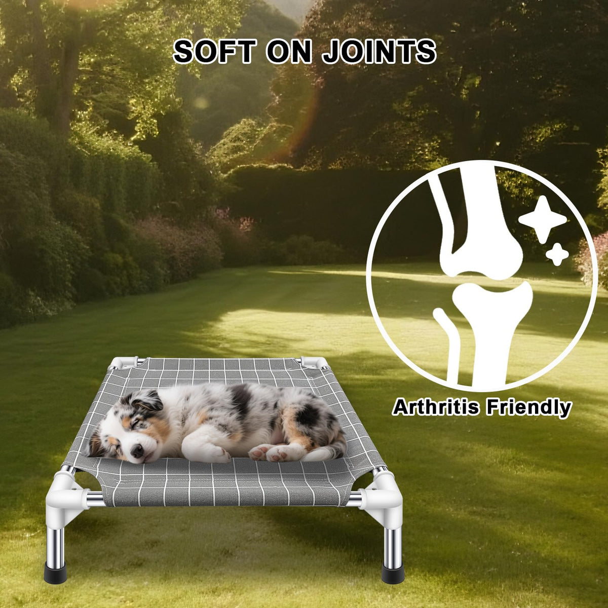 Raised Pet Bed W7155