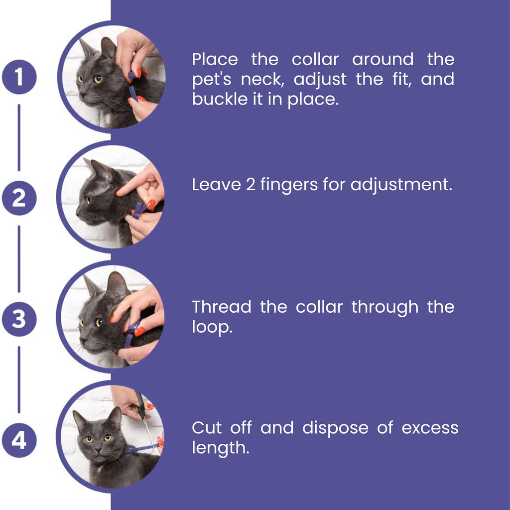 Cat Calming Collar 2-Pack T458