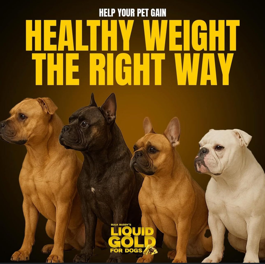 Weight Gainer for Dogs Y3232