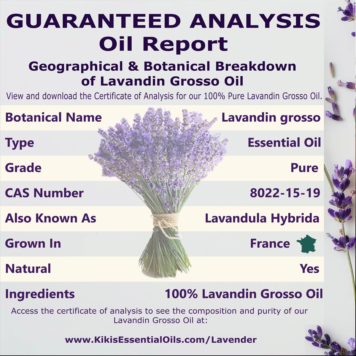 Lavender Essential Oil with Glass Dropper 4 Fl Oz E3706