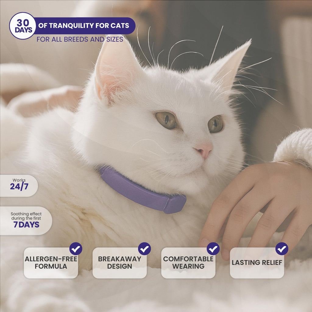 Cat Calming Collar 2-Pack T458