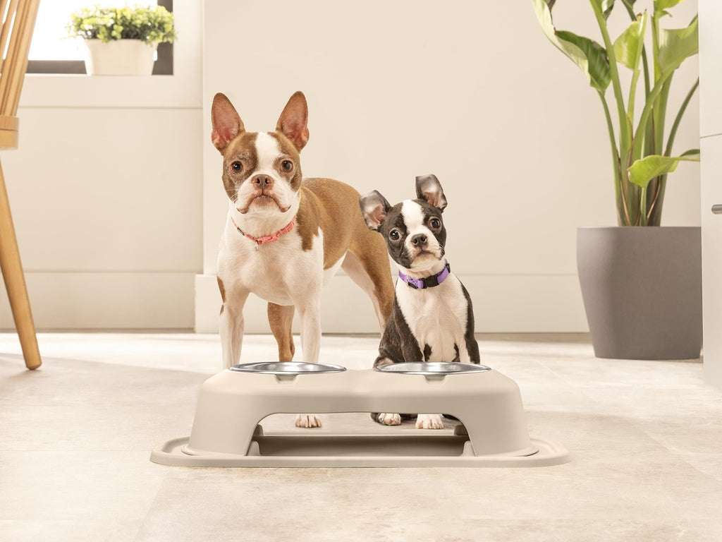 Elevated Dog/Cat Bowls 8oz Stainless Steel H50344