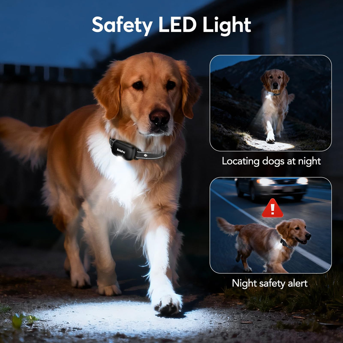 Dog Training Collar with Remote 2 Pack E830