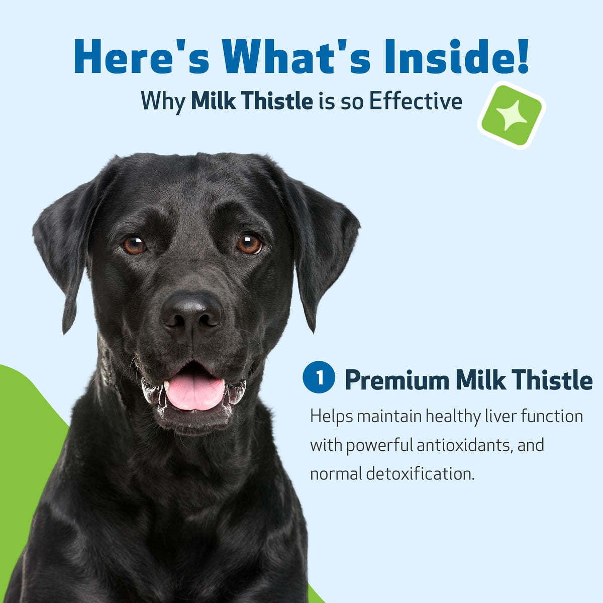 Milk Thistle for Dogs 2 oz N52860
