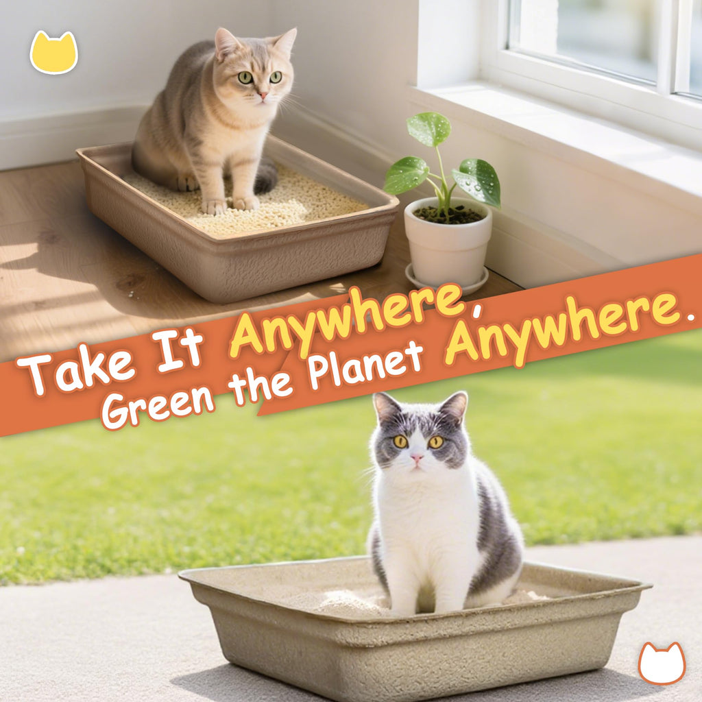 Disposable Litter Boxes for Cats Z45235