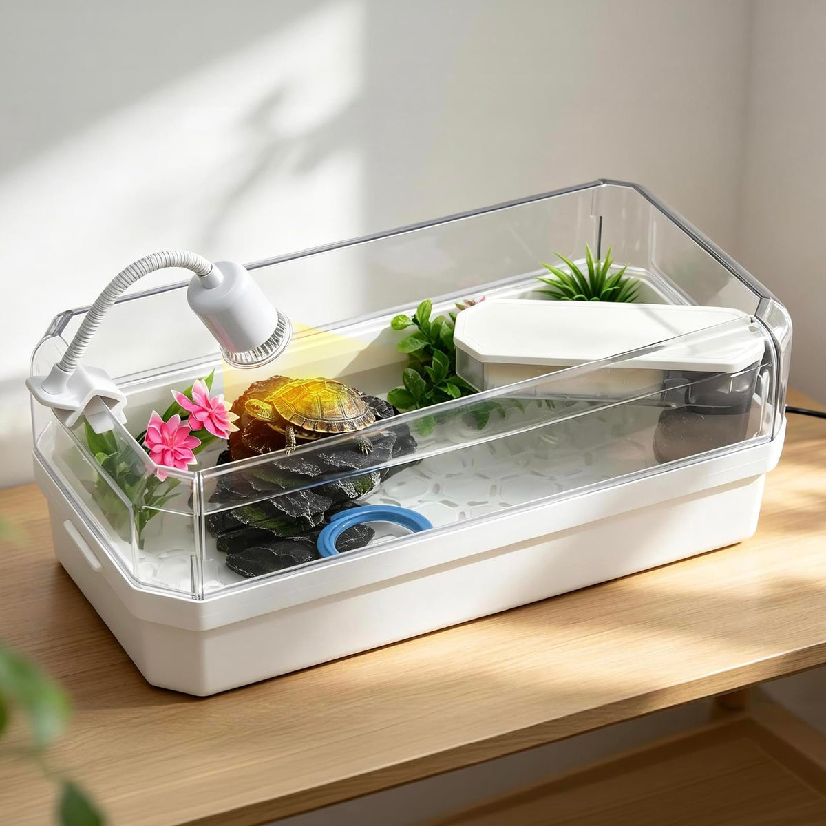 Turtle Tank Starter Kit F176139