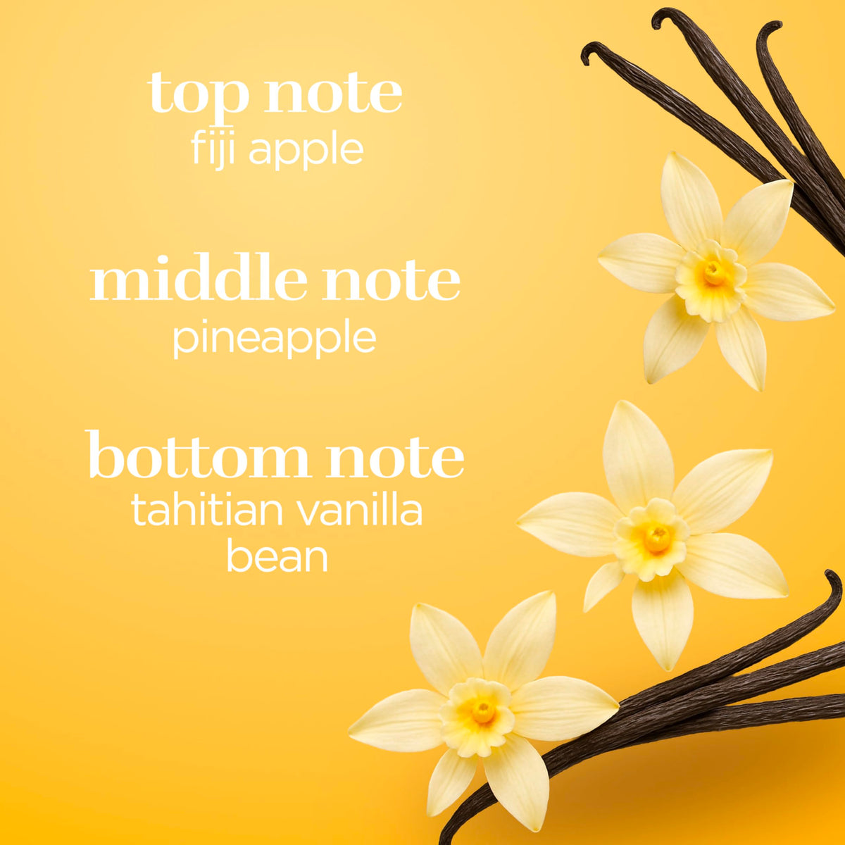 Vanilla Fragrance Body Spray 8 Ounce G290670