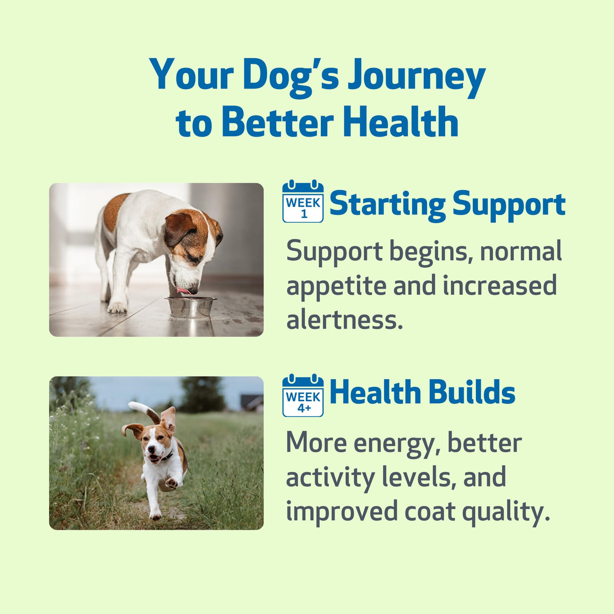 Milk Thistle for Dogs 2 oz N52860