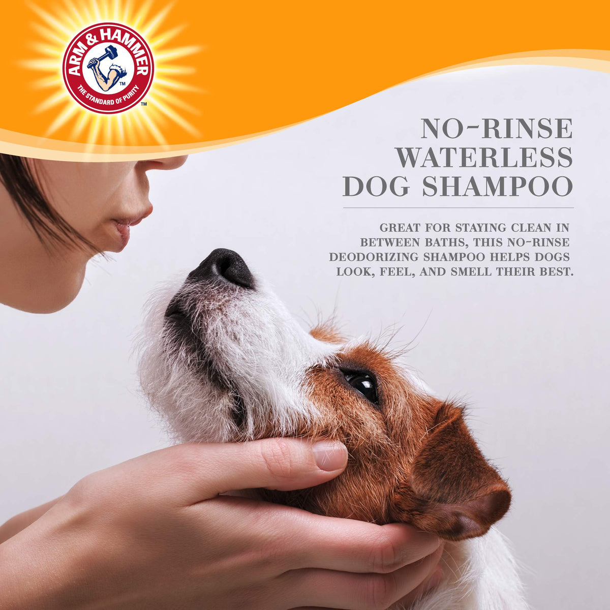 Waterless Dog Shampoo Foam 8 Fl Oz F6165