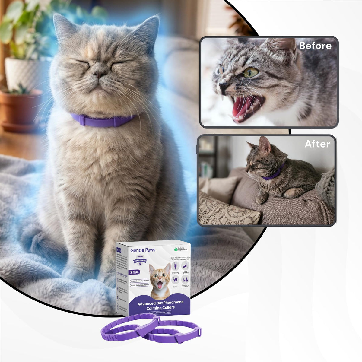 Cat Calming Collar 2-Pack T458