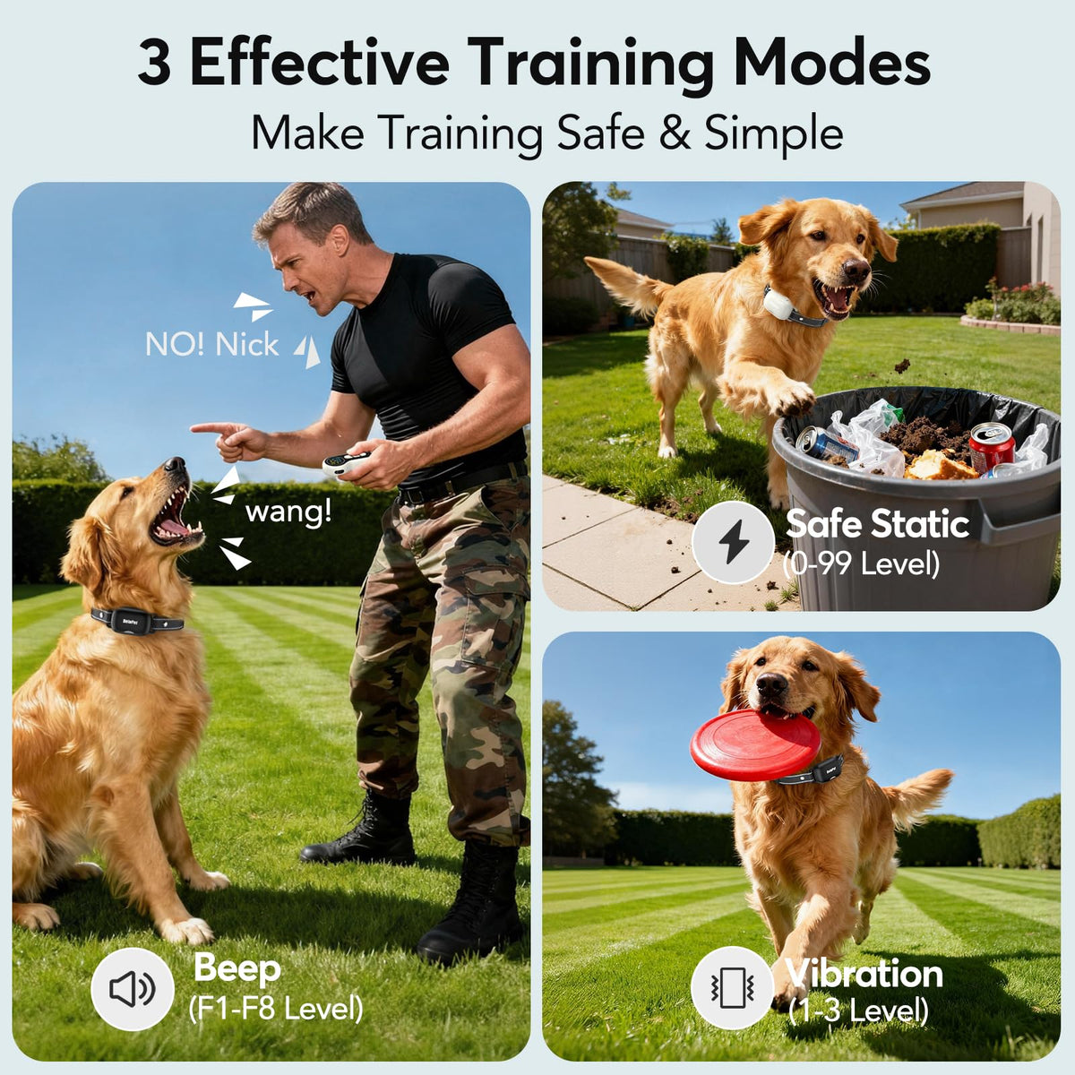 Dog Training Collar with Remote 2 Pack E830