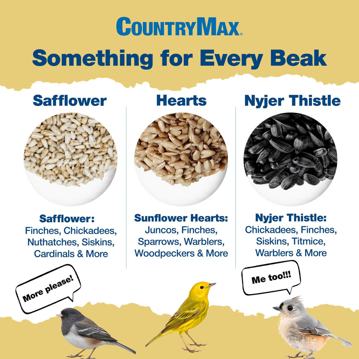 Safflower Bird Seeds R9160