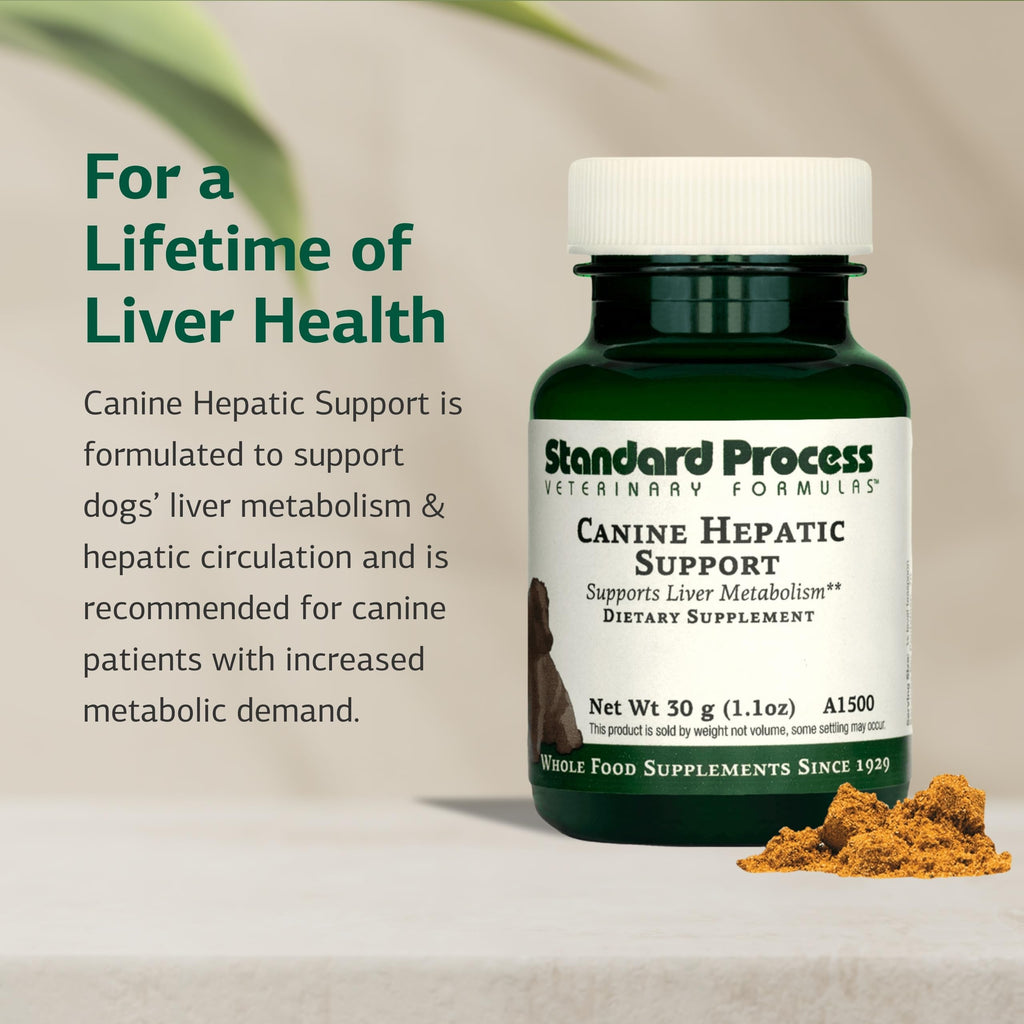Canine Hepatic Support 30 g T5459