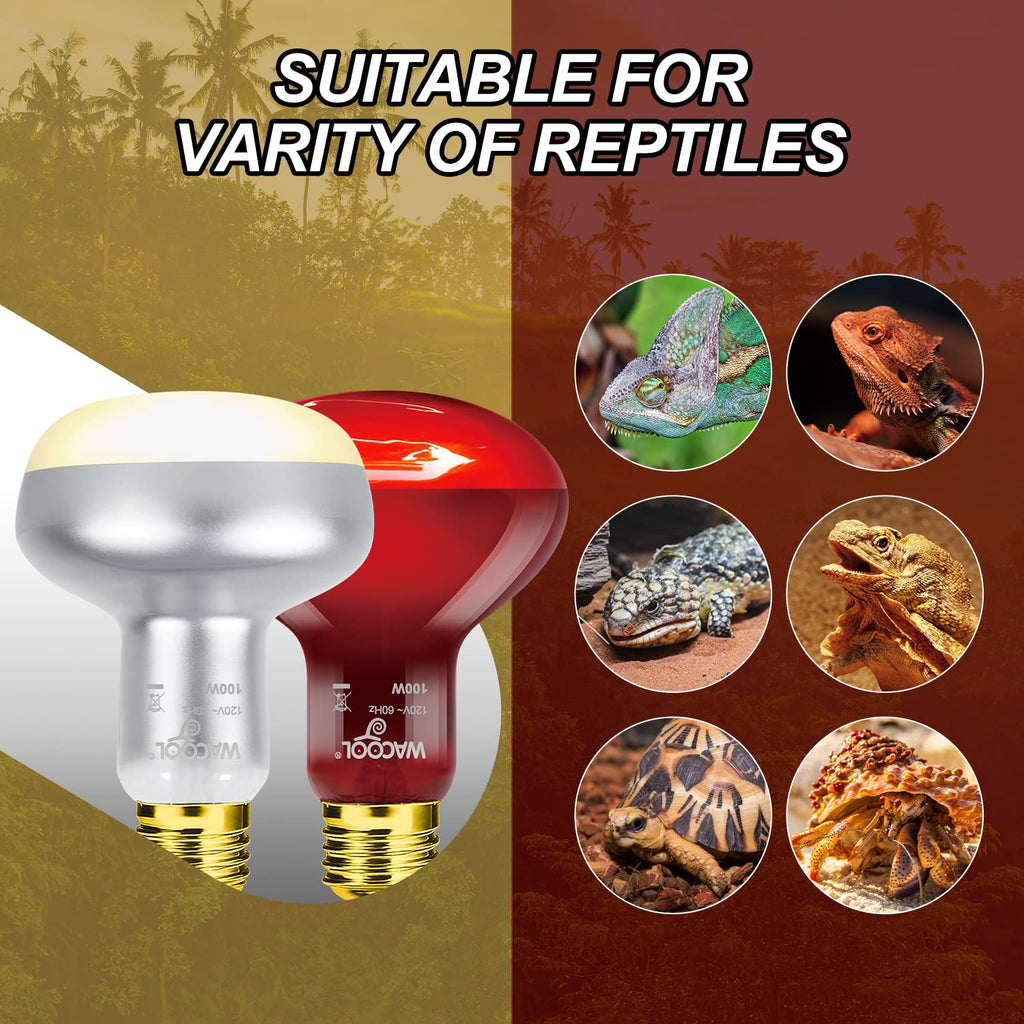 4 Pack Reptile Heat Lamp Day & Night Kit 100W P327