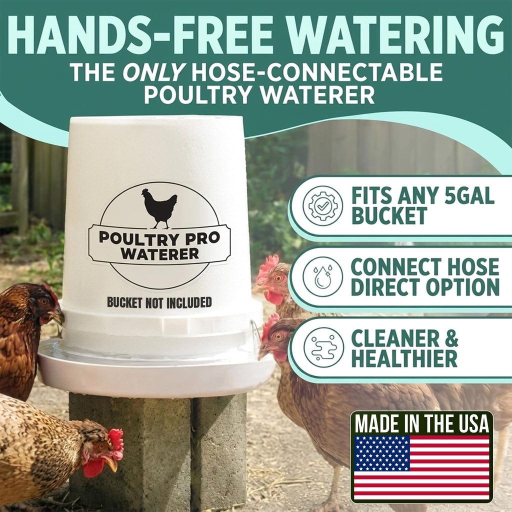 Chicken Feeder and Waterer Set with 3 Ports I748726
