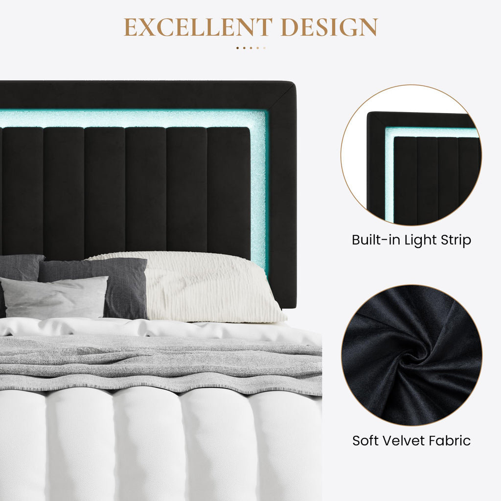 Queen Size Black Velvet Bed Frame with LED Light Y2726
