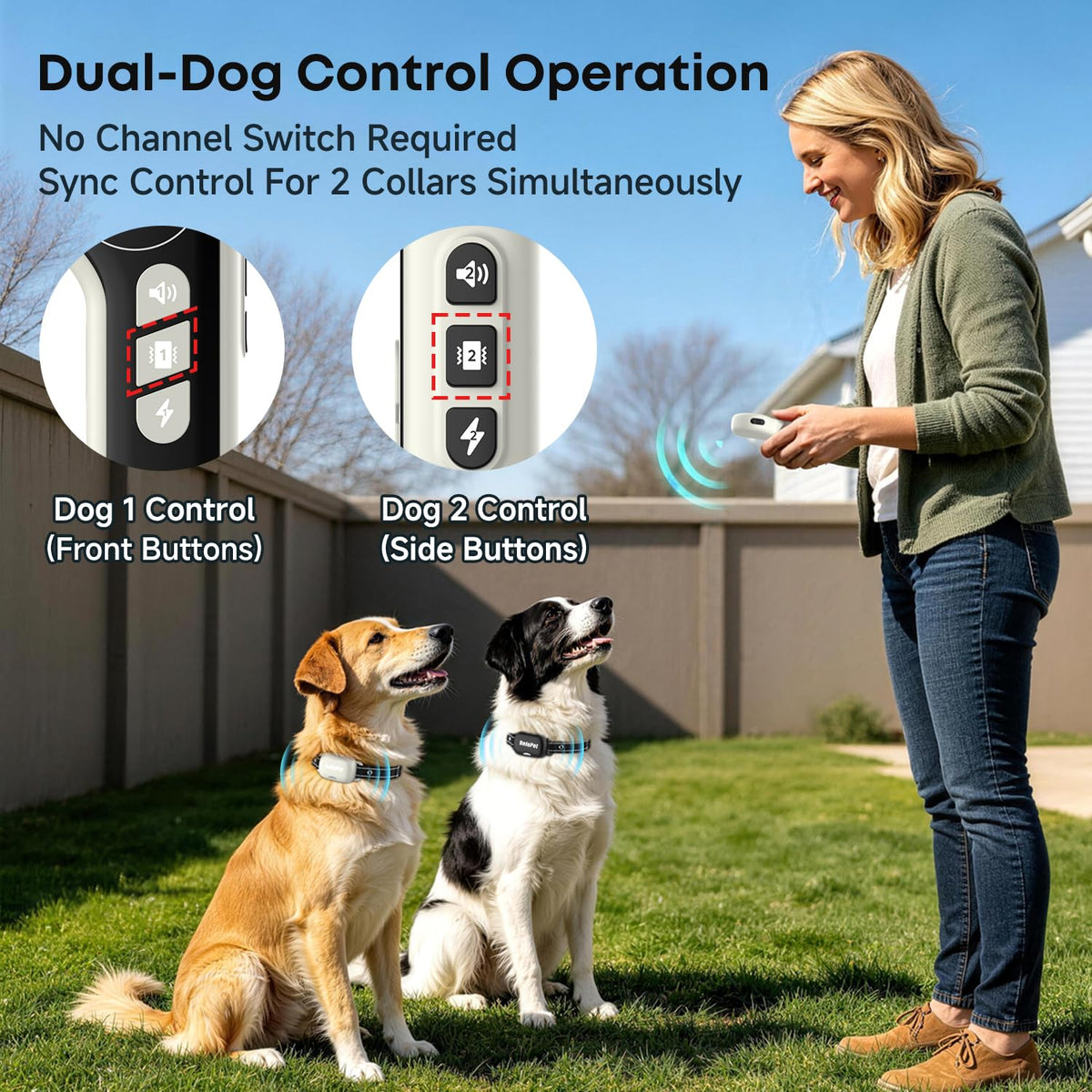 Dog Training Collar with Remote 2 Pack E830