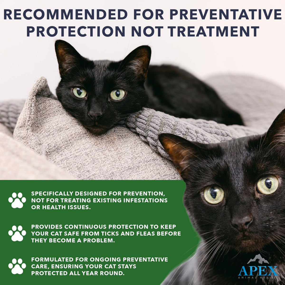 Flea & Tick Prevention Drops for Cats A849225