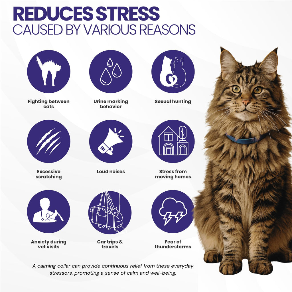 Cat Calming Collar 2-Pack T458