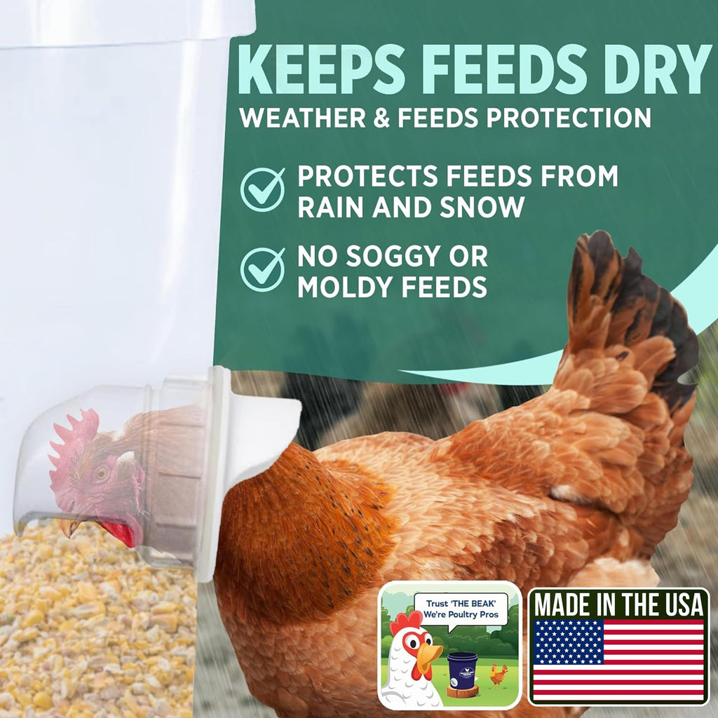 Chicken Feeder and Waterer Set with 3 Ports I748726