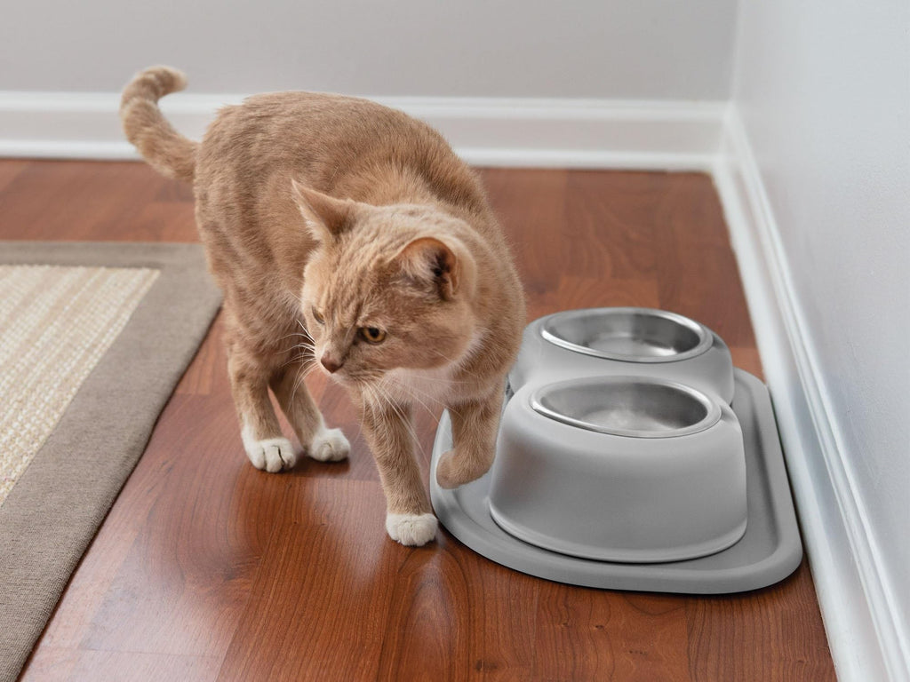 Elevated Dog/Cat Bowls 8oz Stainless Steel H50344