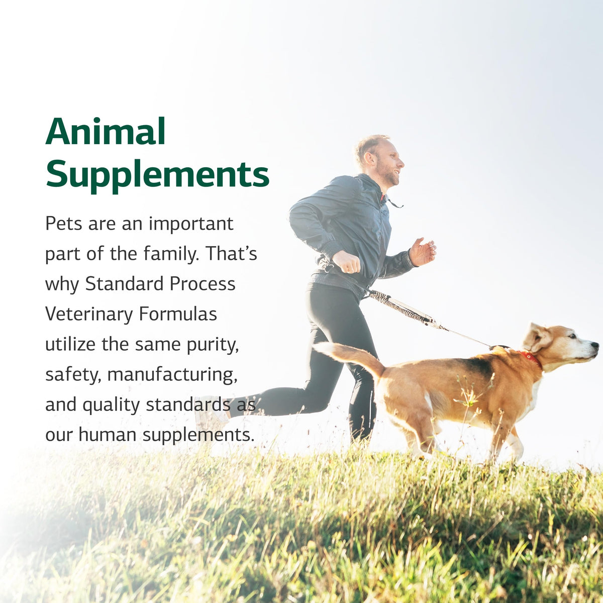 Canine Hepatic Support 30 g T5459