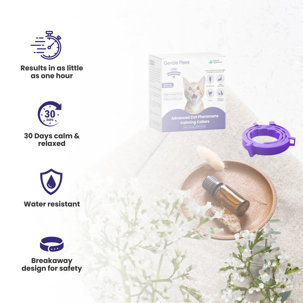 Cat Calming Collar 2-Pack T458