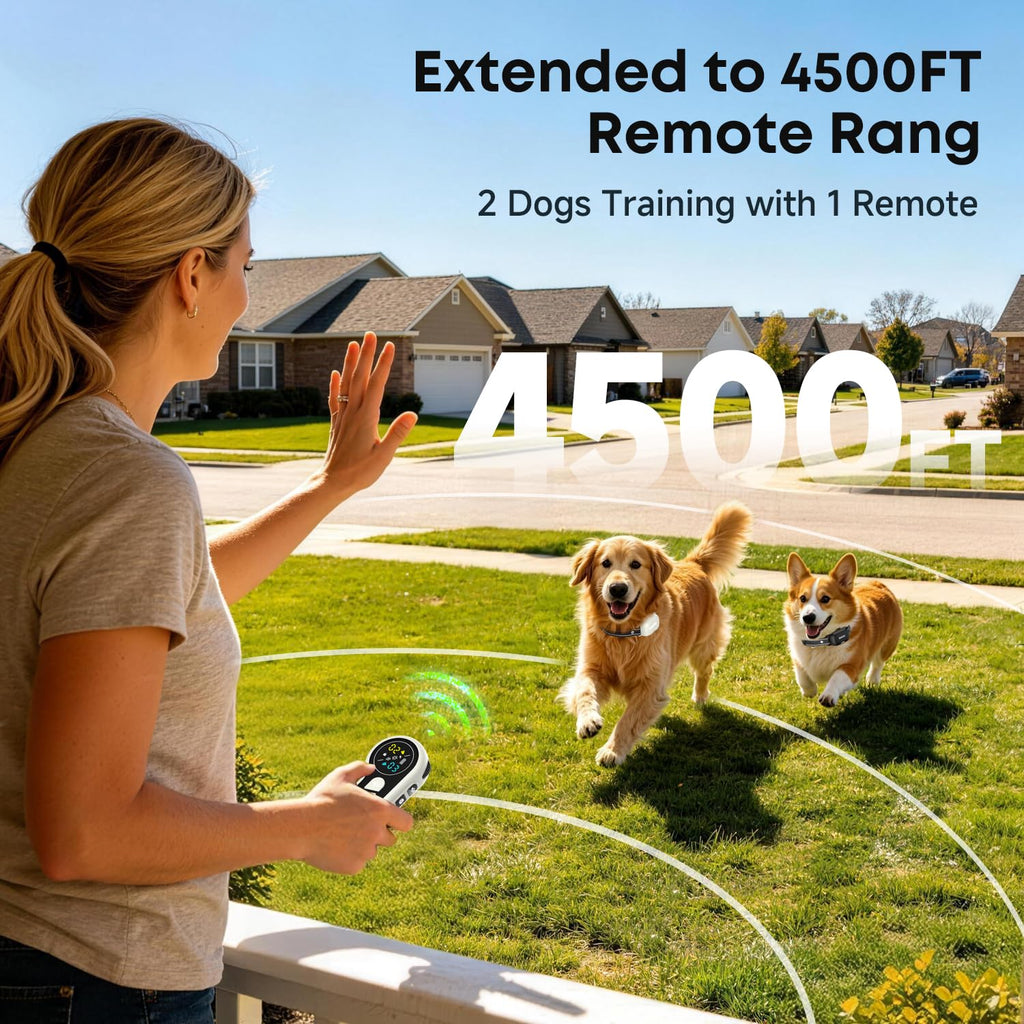 Dog Training Collar with Remote 2 Pack E830
