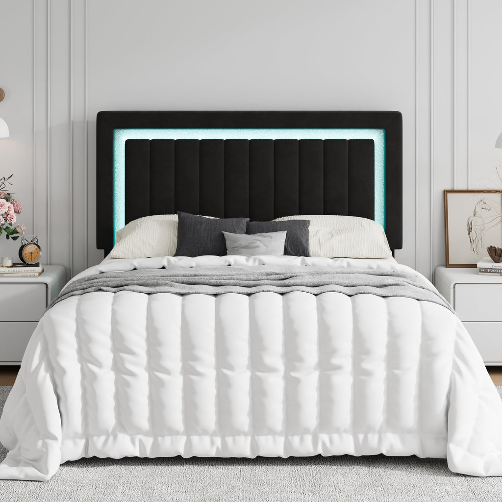 Queen Size Black Velvet Bed Frame with LED Light Y2726