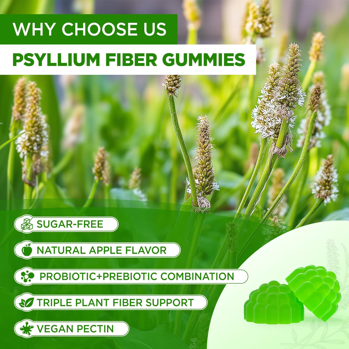 1500mg Psyllium Husk Fiber Gummies with Probiotics, Inulin, Chia Seed, Sugar Free, 60 Chewable Q83559