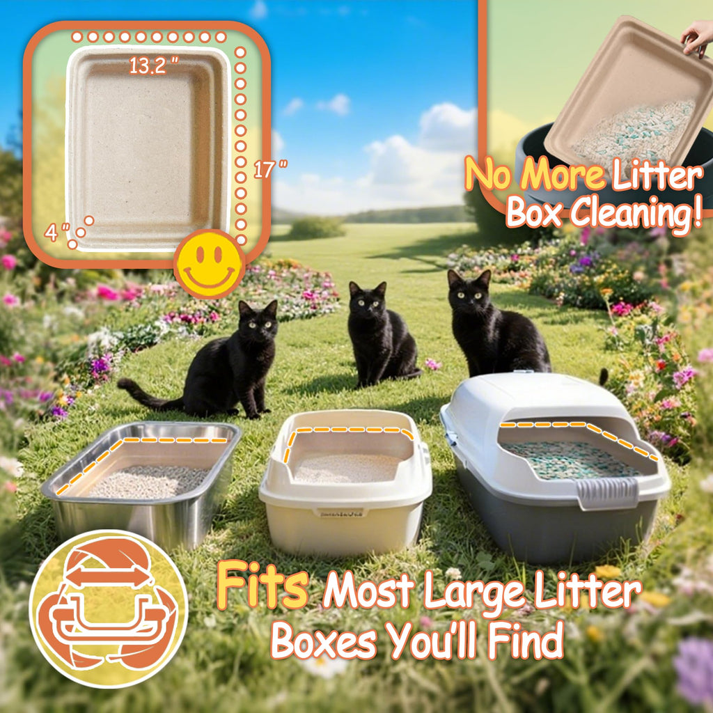 Disposable Litter Boxes for Cats Z45235