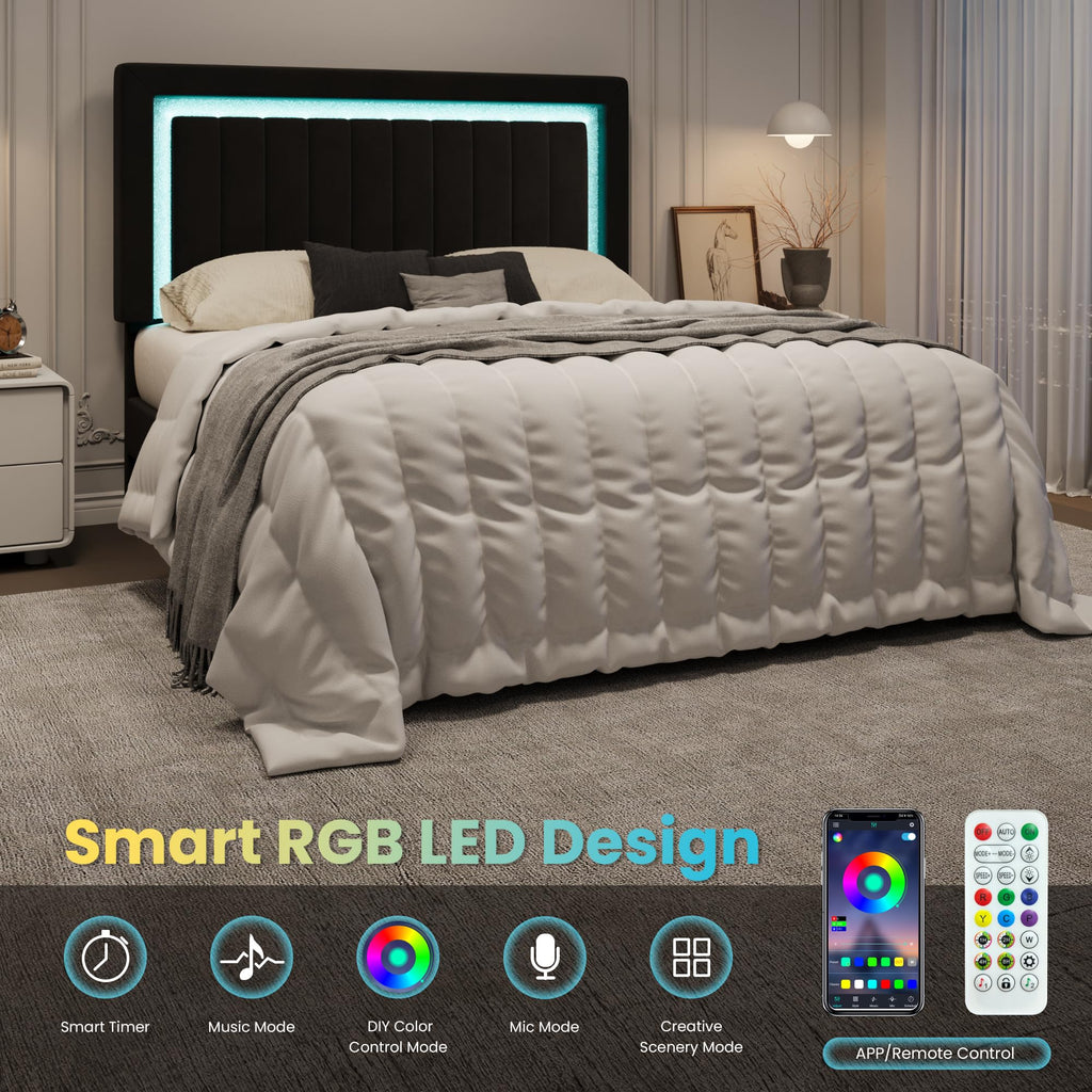 Queen Size Black Velvet Bed Frame with LED Light Y2726